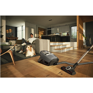 Miele Blizzard CX1 Cat & Dog Flex, 890 W, pilkas - Dulkių siurblys