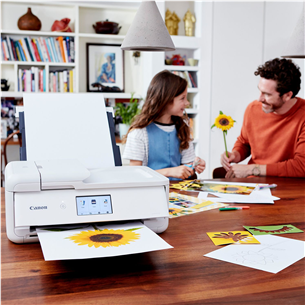 Spausdintuvas Canon PIXMA TS9551 A3 Prekė - 2988C026