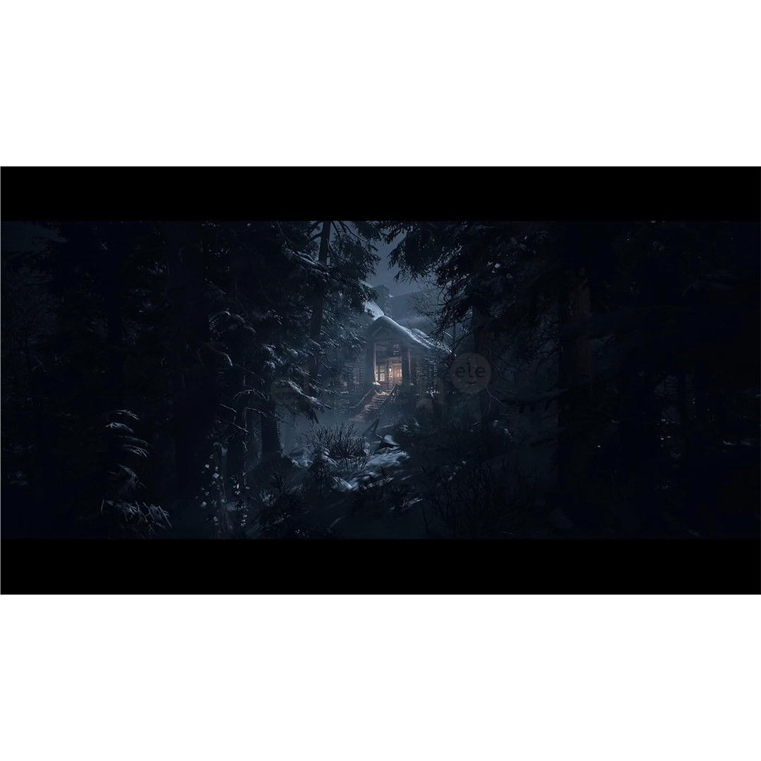Until Dawn, Playstation 5 - Žaidimas