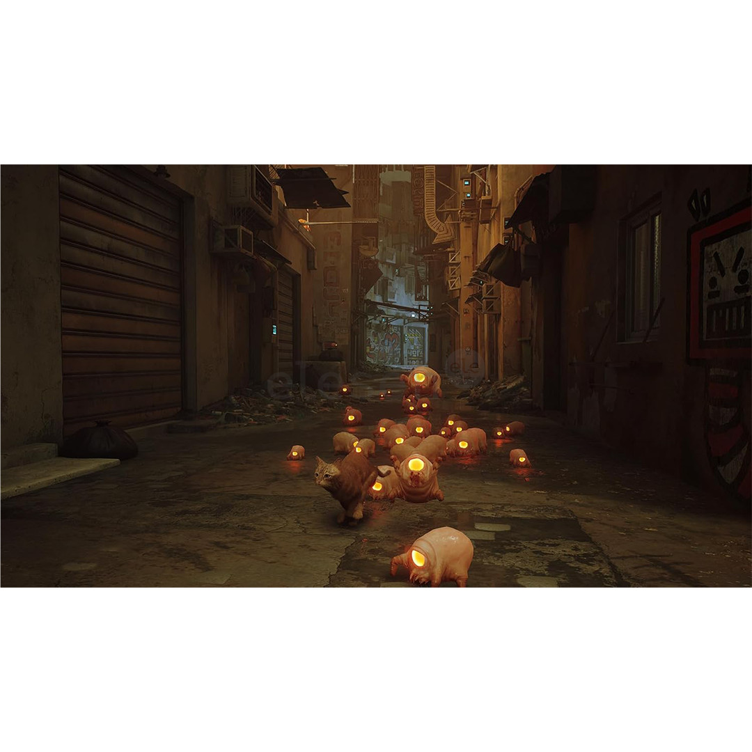 Stray, Nintendo Switch - Game