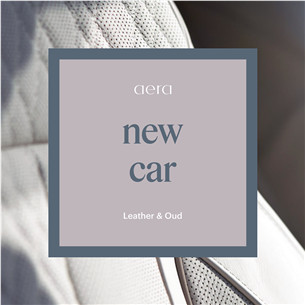 Aera Go, New Car - Ароматическая капсула