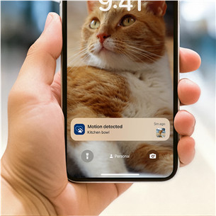 Philips 5000 Series, 4.5 L, dark grey - Smart pet feeder with camera