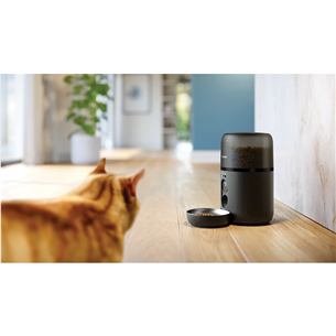 Philips 5000 Series, 4.5 L, tamsiai pilka - Išmanioji šėrykla su kamera
