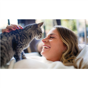 Philips 5000 Series, 4.5 L, dark grey - Smart pet feeder with camera