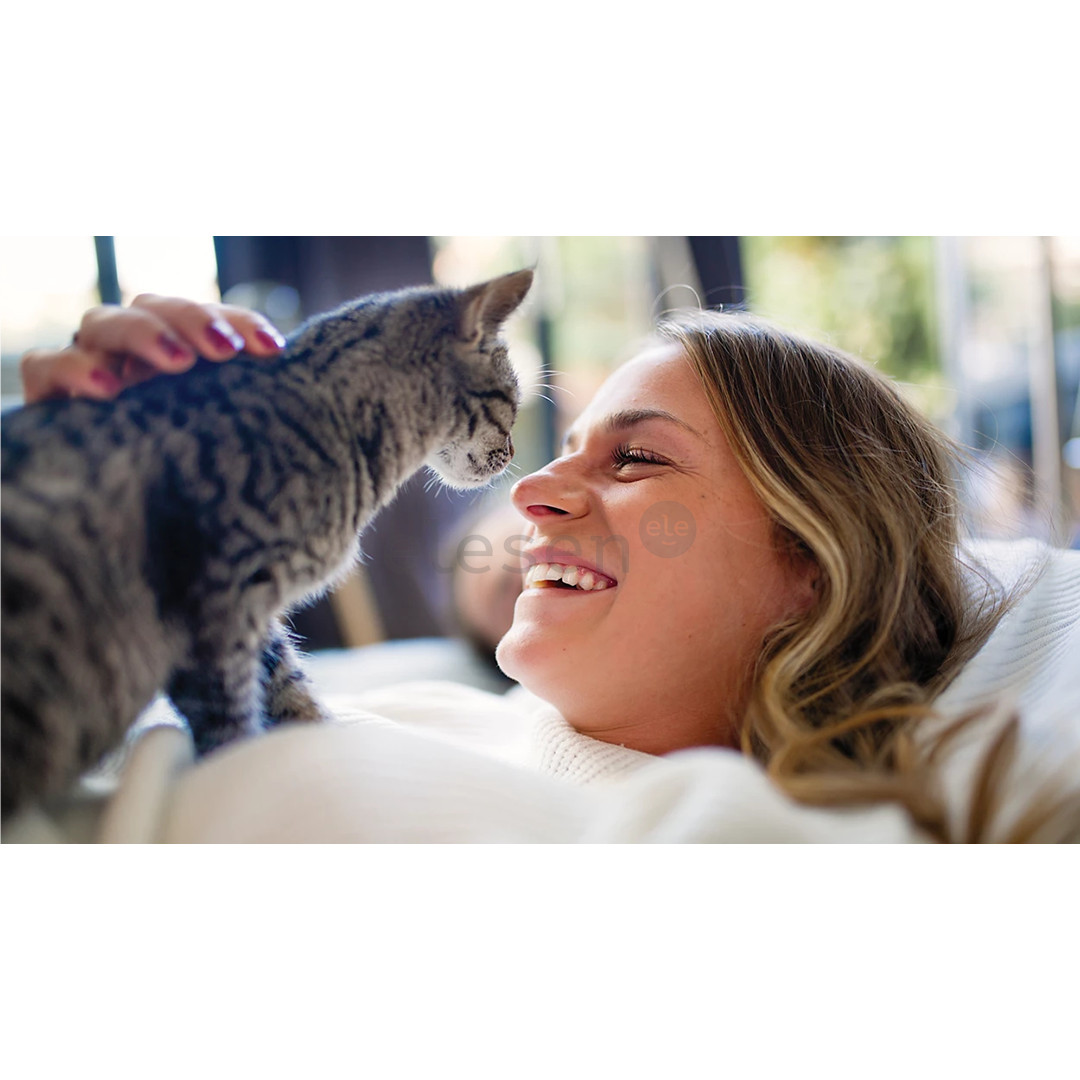 Philips 5000 Series, 4.5 L, dark grey - Smart pet feeder with camera