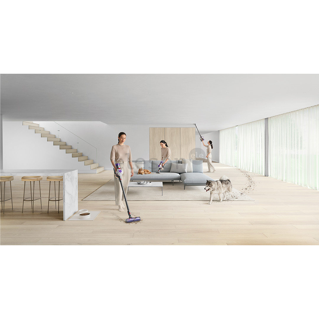 Dyson V8 Advanced, nickel/silver - Cordless vacuum cleaner