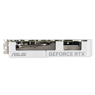 Asus, NVIDIA GeForce RTX 4060, 8 GB GDDR6, 128 bit - Vaizdo plokštė