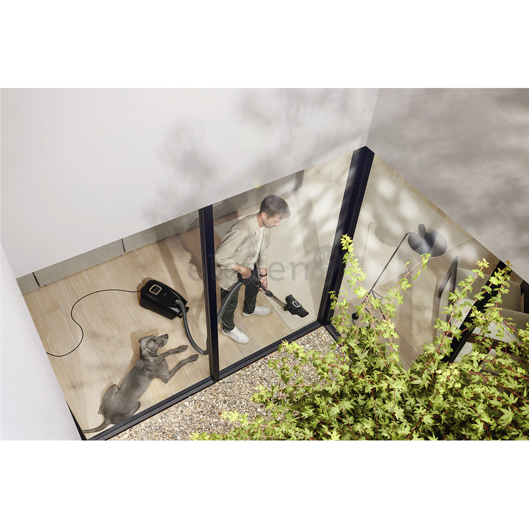 Miele Guard L1 Cat & Dog, 890 W, juodas - Dulkių siurblys