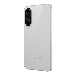 Samsung Galaxy A56 5G, 8 GB, 256 GB, pilkas - Išmanusis telefonas