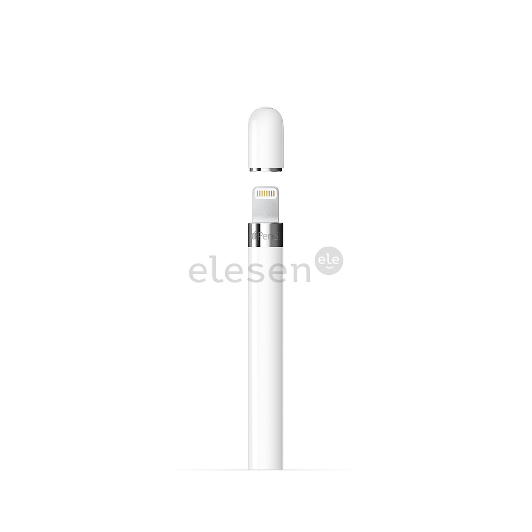 Apple Pencil (1st Generation), white - Jutiklinis rašiklis (stylus)