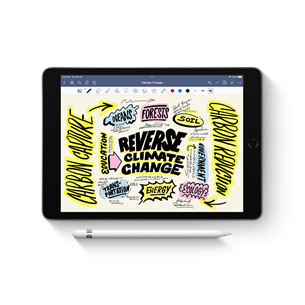 Apple Pencil (1st Generation), white - Jutiklinis rašiklis (stylus)