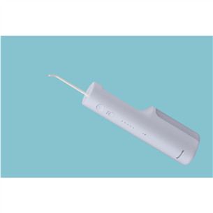 Panasonic Series 300, violetinis - Irigatorius