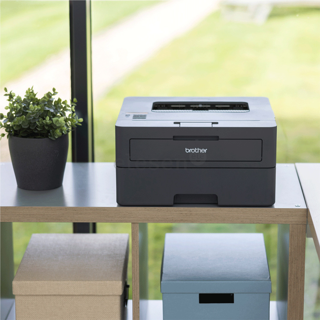 Brother HL-L2445DW, black - Laser printer