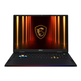 MSI Raider A18, 18'', UHD+, Mini-LED, 120 Гц, Ryzen 9, 64 ГБ, 2 ТБ, RTX 5080, ENG, черный - Ноутбук