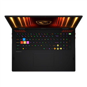 MSI Raider 18, 18'', UHD+, Mini-LED, 120 Hz, Ultra 9, 64 GB, 4 TB, RTX 5080, ENG, core black - Notebook