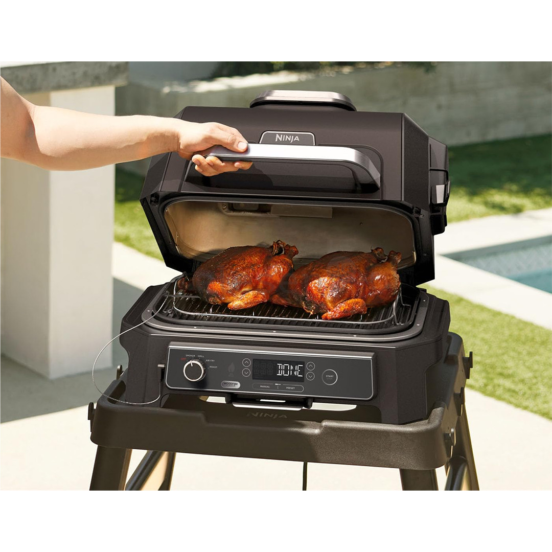 Ninja Woodfire XL - Roast & Smoke Rack