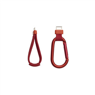 JBL Flip 7, raudona - Belaidė kolonėlė