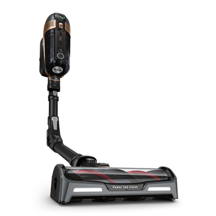 Tefal X-Force Flex 15.60 Aqua, juodas/aukso spalvos - Belaidis dulkių siurblys