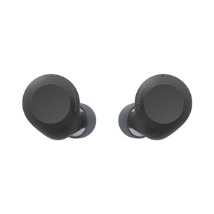Sony WF-C710N, black - True wireless earphones