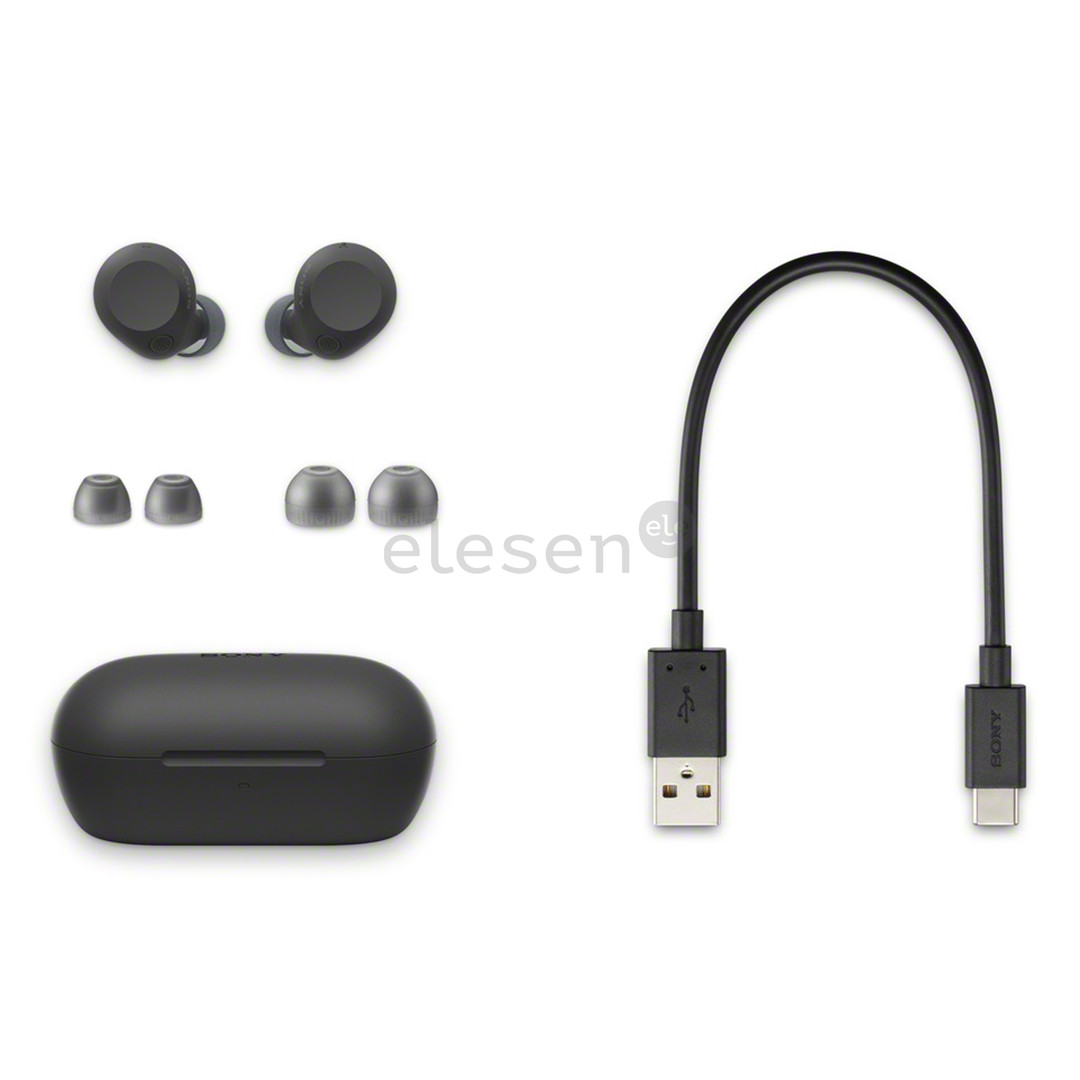 Sony WF-C710N, black - True wireless earphones