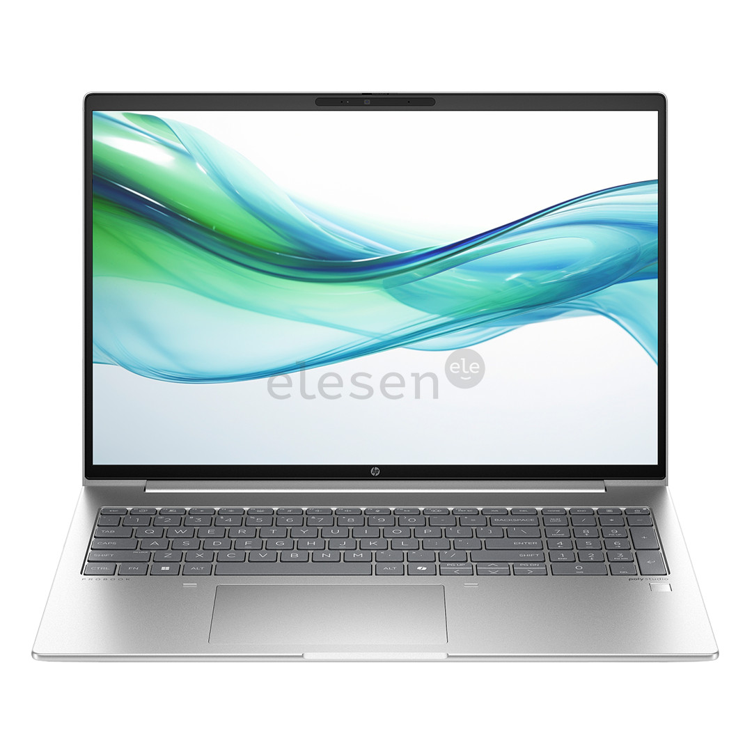 HP ProBook 465 G11, 16'', WUXGA, Ryzen 5, 16 GB, 512 GB, ENG, pike silver - Notebook