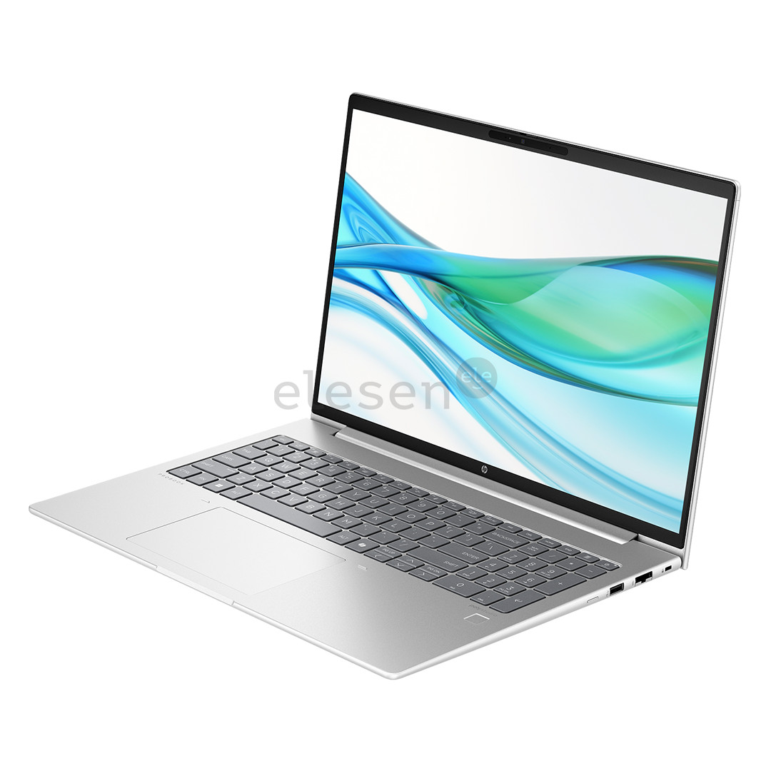 HP ProBook 465 G11, 16'', WUXGA, Ryzen 5, 16 GB, 512 GB, ENG, pike silver - Notebook