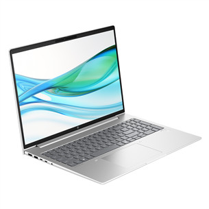HP ProBook 465 G11, 16'', WUXGA, Ryzen 5, 16 GB, 512 GB, ENG, pike silver - Notebook