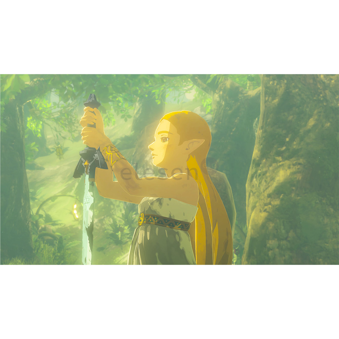 The Legend of Zelda: Breath of the Wild, Nintendo Switch 2 - Игра