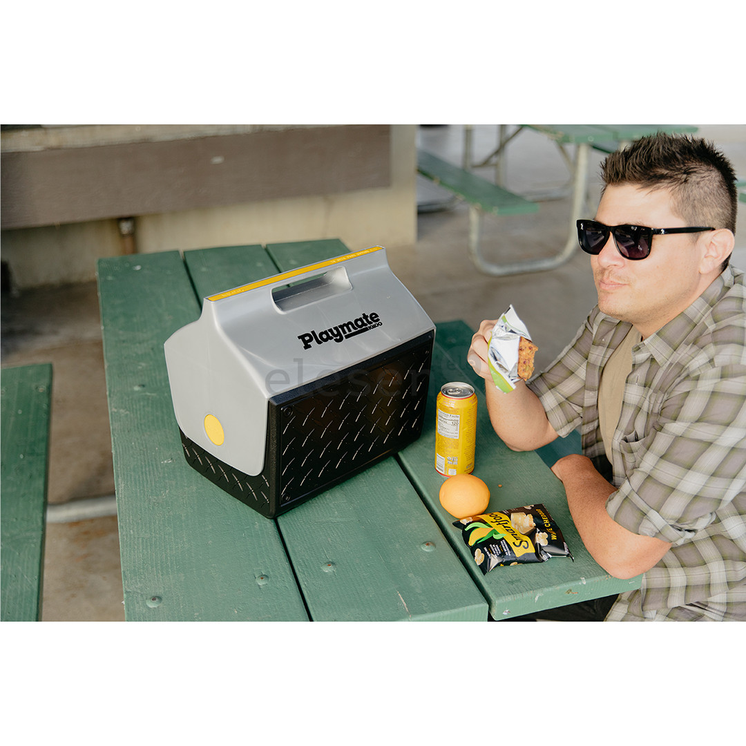 Igloo Playmate The Boss, 14 L, black/silver - Cool box