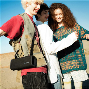 Sony ULT Field 3, черный - Беспроводная колонка