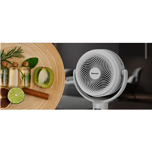 Hisense, белый - Напольный вентилятор