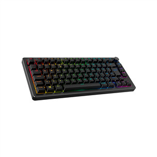 HyperX Alloy Rise 75, SWE, black - Wireless keyboard