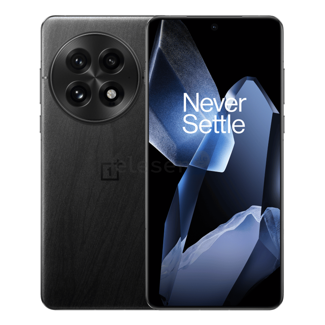 OnePlus 13, 12 GB, 256 GB, juodas - Išmanusis telefonas