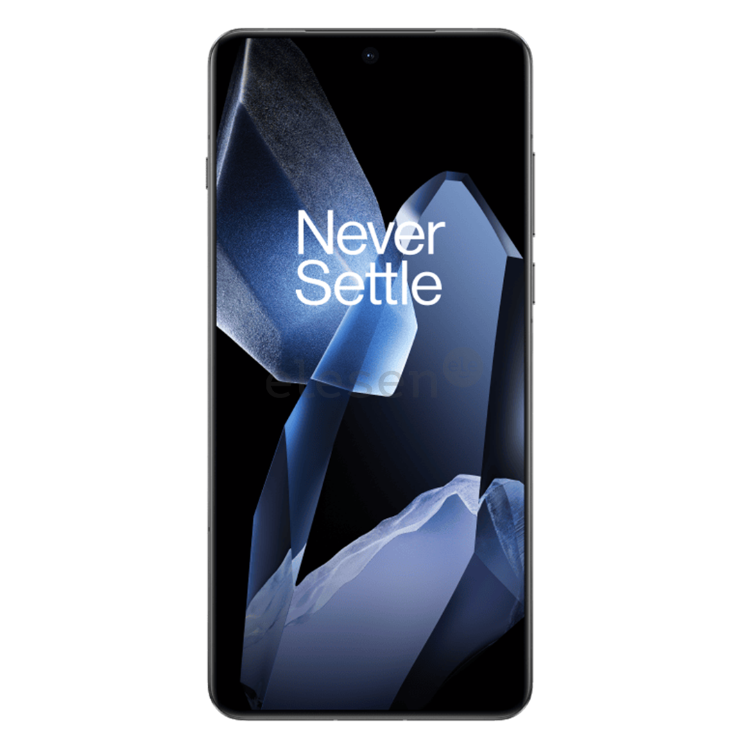 OnePlus 13, 12 GB, 256 GB, juodas - Išmanusis telefonas