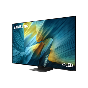 Samsung S95F, 65'', 4K UHD, OLED, juodas - Televizorius