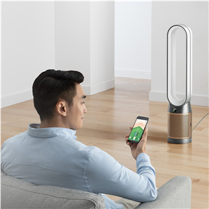 Dyson, white/golden - Air purifier