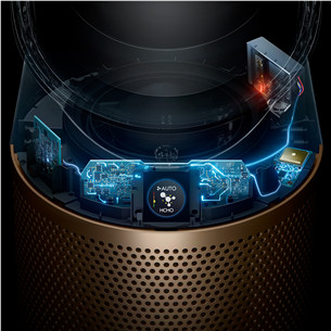 Dyson, white/golden - Air purifier