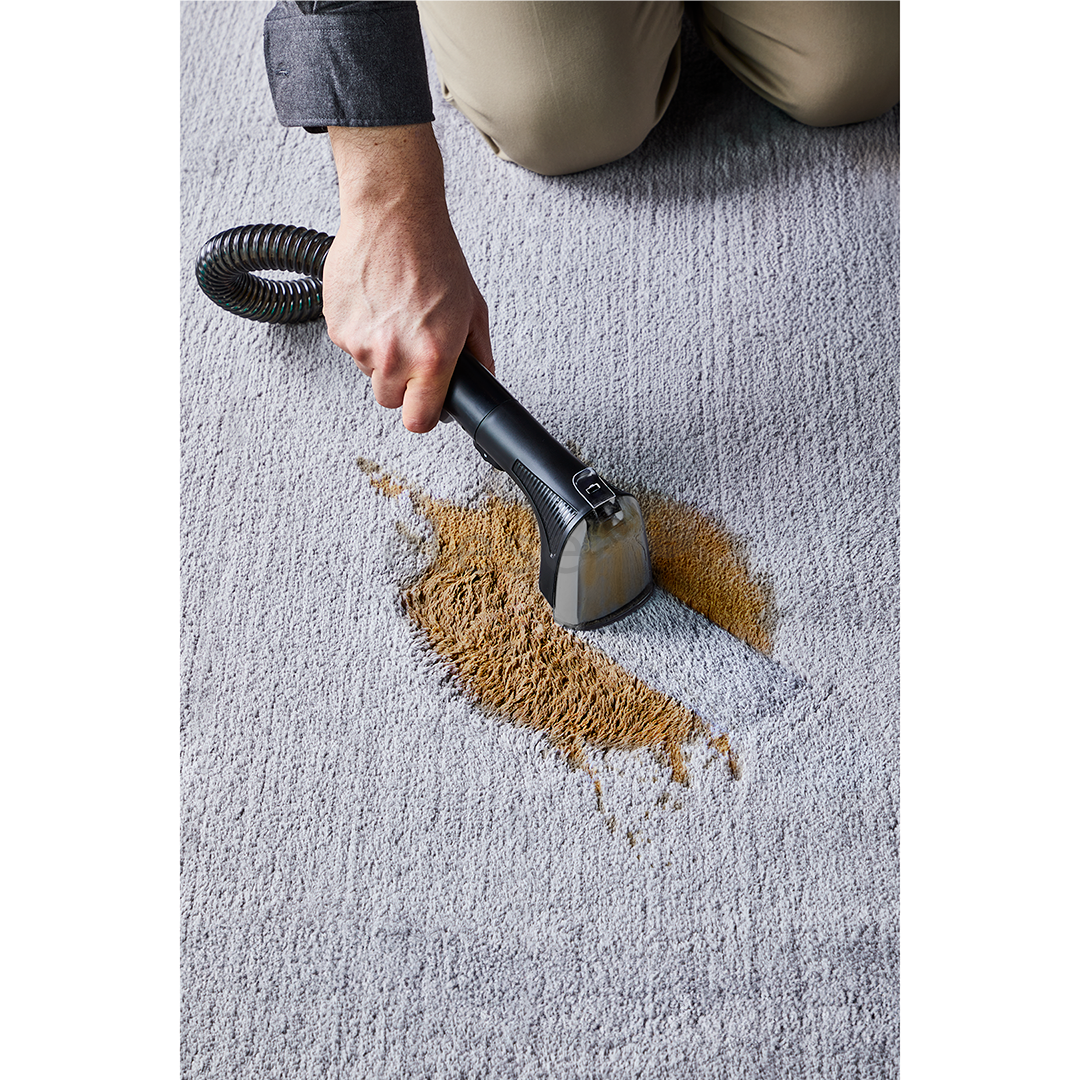 Rowenta Clean It, juodas/žalias - Kilimų ir apmušalų valymo įrenginys