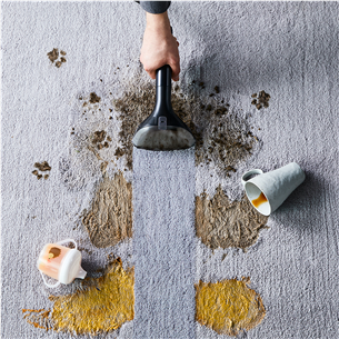 Rowenta Clean It, juodas/žalias - Kilimų ir apmušalų valymo įrenginys