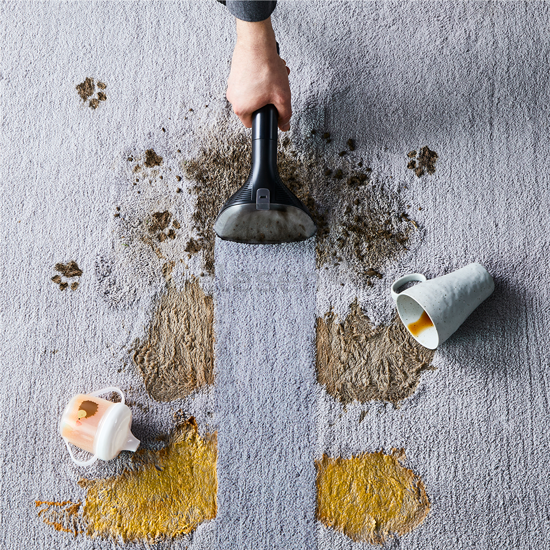 Rowenta Clean It, juodas/žalias - Kilimų ir apmušalų valymo įrenginys