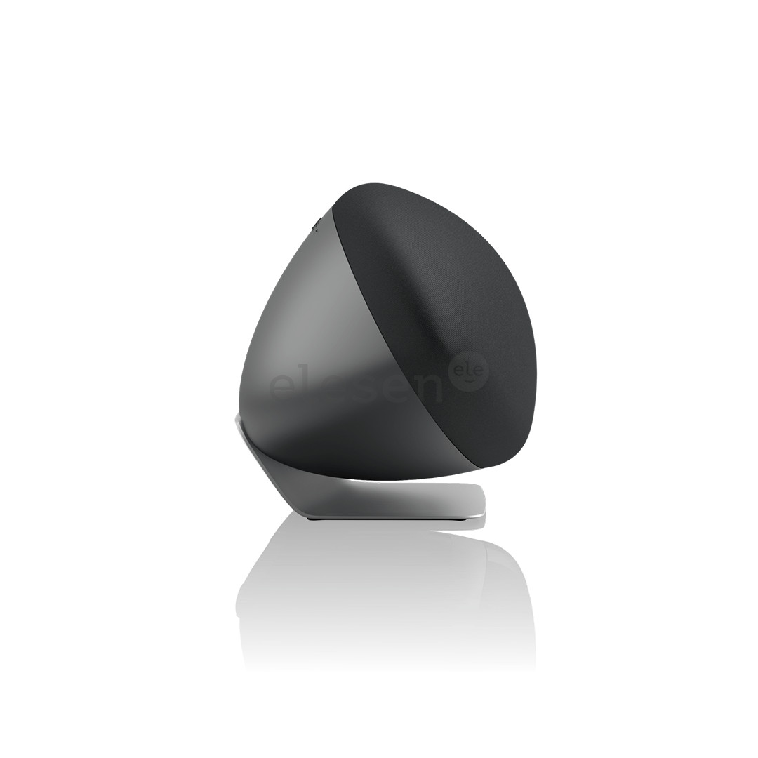 Bowers & Wilkins Zeppelin Pro Edition, space gray - Home speaker