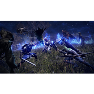 Elden Ring Nightreign Collector's Edition, PlayStation 5 - Игра