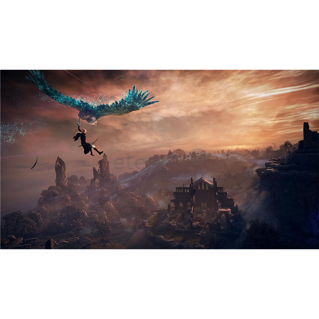 Elden Ring Nightreign Collector's Edition, PlayStation 4 - Žaidimas