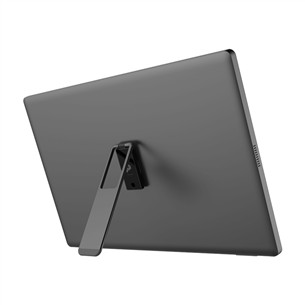 MSI PRO MP161 E2U, 15,6'', Full HD, juodas - Monitorius