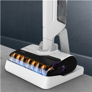 Tefal X-Clean 10 - Filter and roller