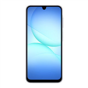 Samsung Galaxy A17, LTE, 128GB, pilkas - Išmanusis telefonas