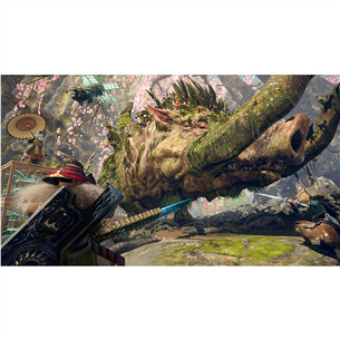 Wild Hearts S, Nintendo Switch 2 - Игра