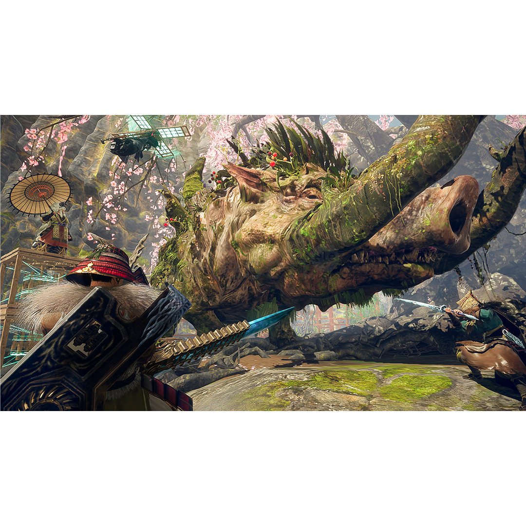 Wild Hearts S, Nintendo Switch 2 - Игра