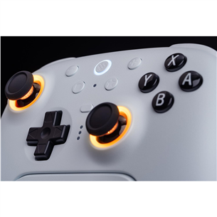 8BitDo Ultimate 2, baltas - Belaidis žaidimų pultelis