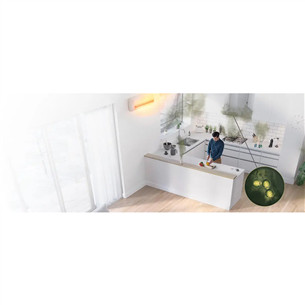 Dyson Purifier Cool PC1, baltas/nikelio spalvos - Oro valytuvas